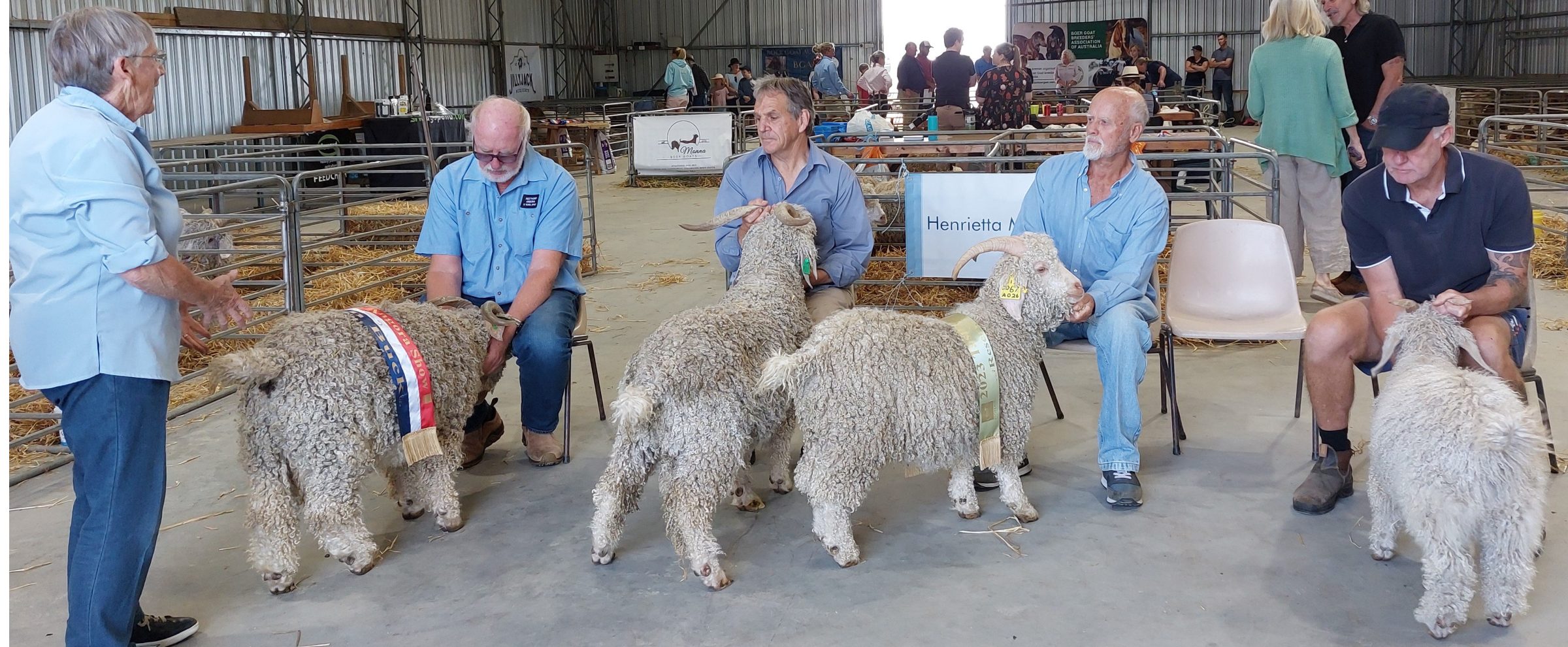 2024 Deloraine Angora Show Mohair Tasmania