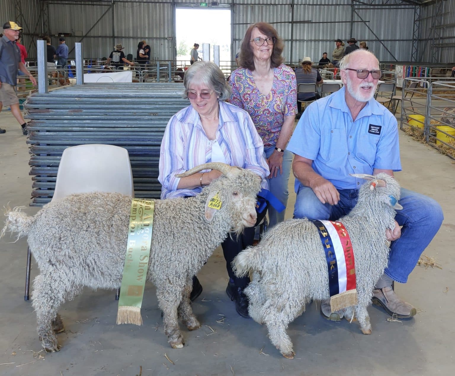 2024 Deloraine Angora Show Mohair Tasmania